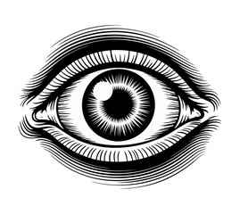 Intricate Line Art Eye Illustration Vintage Style Black and White Human Eye Drawing