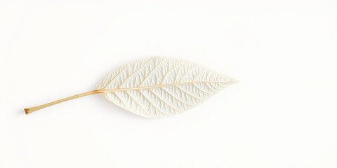 Macro Close-Up of Delicate White Skeleton Leaf with Brown Stem Isolated on White Background | AI-Generated Botanical Art