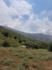 mountain landscape with blue sky and clouds