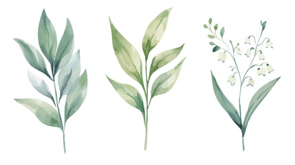 Watercolor illustration of lily of the valley flowers on a white background, delicate and detailed floral artwork capturing soft white bell-shaped blooms, fresh green leaves