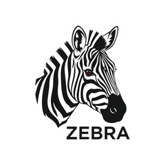zebra vector illustration