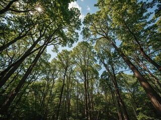 Nature's Beauty: Green Leaves and Tree Trunks