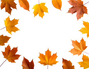 Colorful maple and diverse fall leaves artfully frame a central space, embodying the spirit of autumn.