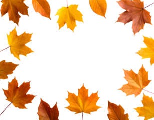 Colorful maple and diverse fall leaves artfully frame a central space, embodying the spirit of autumn.