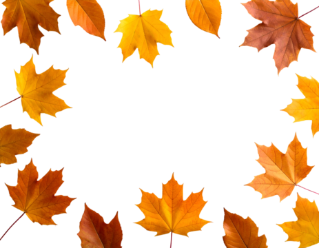 Colorful maple and diverse fall leaves artfully frame a central space, embodying the spirit of autumn.