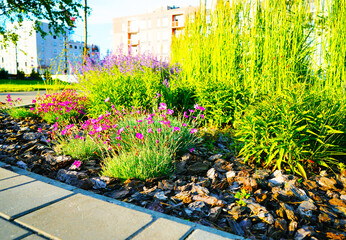 Landscape Architecture for Public Spaces. Garden Pathway. Walkway in green spaces. Landscape design. Lawn grass, manicured lawn, flowers, shrubs in urbanization. Landscaping for urban spaces.