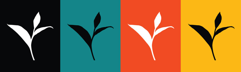 White and black leaves on colorful backgrounds leaf plant