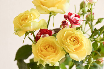 赤と黄色のばら