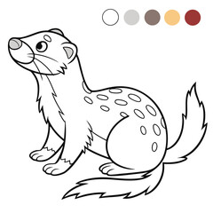 vector illustration of ferret coloring page