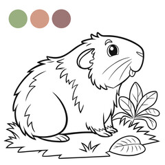 guinea-pig-coloring-page of vector illustration