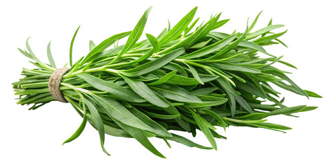 Fototapeta premium Fresh bunch of green tarragon herb tied with twine isolated on transparent background for culinary use