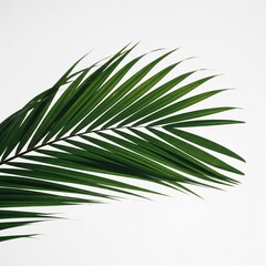 Obraz premium Summer Elements on White Background