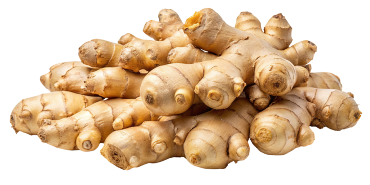 A pile of fresh raw ginger root rhizomes with their distinctive knobby texture and earthy brown skin isolated on transparent background