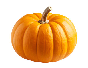 A classic orange pumpkin with its distinctive ridges and strong stem symbolizes the bounty of harvest.