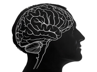 Black Brain Silhouette Icon