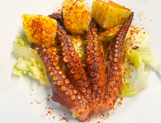 Freshly grilled octopus Spain Valencia