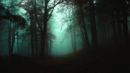 Fototapeta premium Dark misty forest path with eerie atmosphere for halloween concept