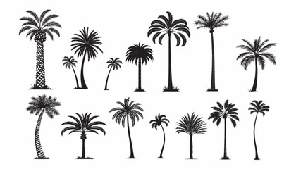 Fototapeta premium Collection of 14 Silhouetted Palm Trees in Varied Shapes and Sizes Tropical Flora Collection Exotic Vacation Vibes Artistic Palm Tree Variety Pack.