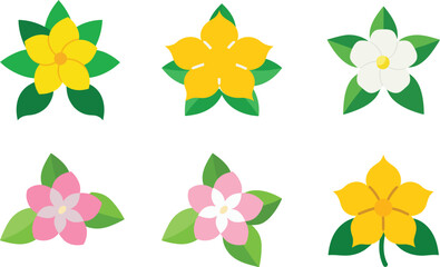 jasmine flower vector illustration