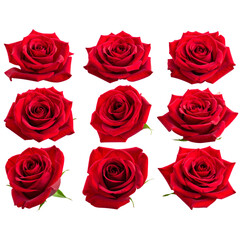 Nine vibrant red roses in full bloom arranged in a grid pattern, showcasing their velvety petals and intricate spirals.
