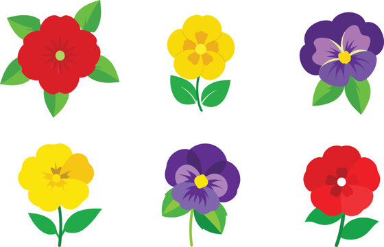pansy flower vector on white background
