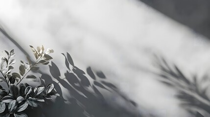 grey wall background