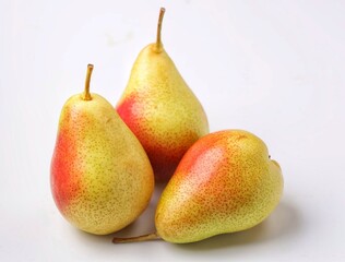 Pears are usually propagated by budding or grafting onto a rootstock, usually of Pyrus communis origin. In Europe the main rootstock used is quince (Cydonia oblonga), which produces a dwarfed tree tha