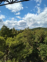 clouds over the forest