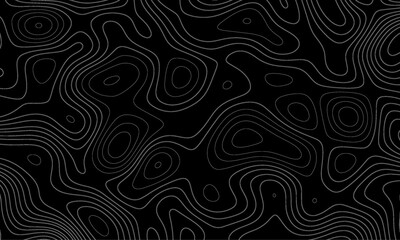 Sophisticated Dark Background with Contour Map Lines Creating an Organic and Fluid Pattern. Modern design with White background with topographic wavy pattern design. Topographic Background.