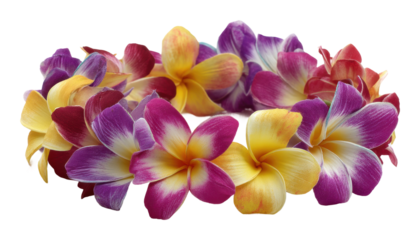 Colorful plumeria flower lei tropical floral arrangement
