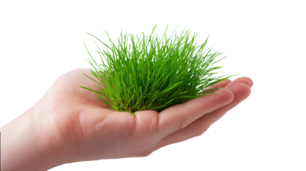 Fresh green grass held gently in a hand, symbolizing care for the environment and nature.