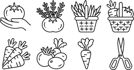 Line Art Vegetable Icons Tomatoes Carrots Basket Hand Scissors