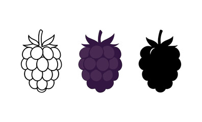 Three artistic raspberry icons in line color and silhouette styles
