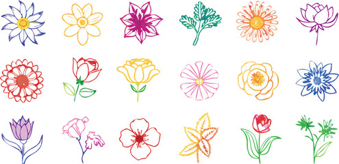 Vibrant Collection of Hand-Drawn Flower Illustrations