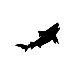 Shark silhouette icon vector 