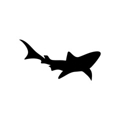 Shark silhouette icon vector 