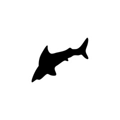 Shark silhouette icon vector 