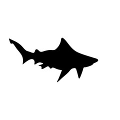 Shark silhouette icon vector 