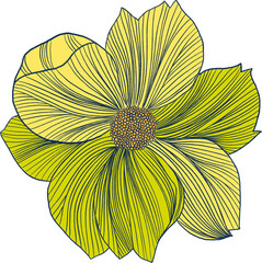 Elements isolated whispers of the Orient asian eastern flower plants botanical