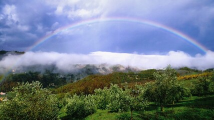 rainbow among the olive trees in the hills