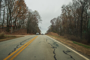 The trees don’t rush — they stand still while you find your way, Georgia, United States of...