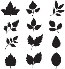 Collection of minimalist leaf silhouettes in black vector style.