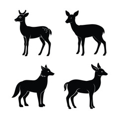 silhouette  Animal