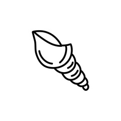 Hand drawn seashell outline illustration