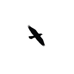 Silhouette of a Bird in Flight Against a White Background Isolated Image