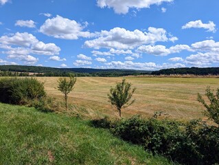 Countryside in Brans, Franche-Comté, France - June 2025