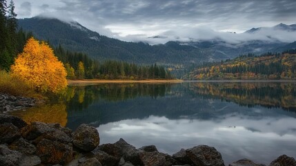 Coffey Lake Autumn Reflection: Washington State Mountain & Forest Mirror with Orange Tree on Rocky Shore Under Dark Clouds.