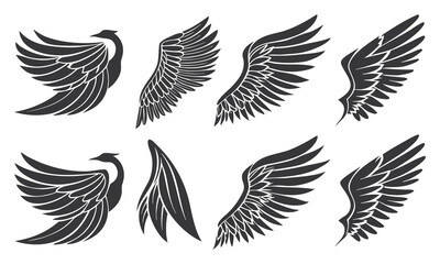 Fototapeta premium Collection of stylized bird and angel wings in black silhouette