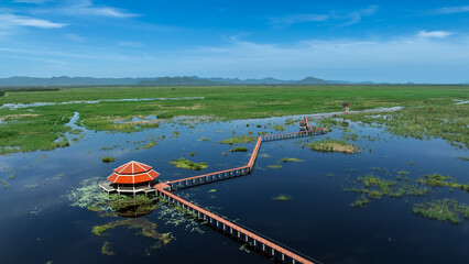 Wooden Bridge and red resting pavilion in lotus lake at Khao Sam Roi Yot National Park, Prachuap...