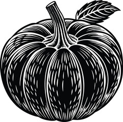 pumpkin on a white background